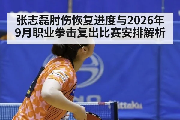 张志磊肘伤恢复进度与2026年9月职业拳击复出比赛安排解析