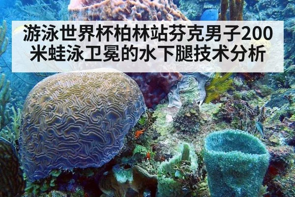 游泳世界杯柏林站芬克男子200米蛙泳卫冕的水下腿技术分析
